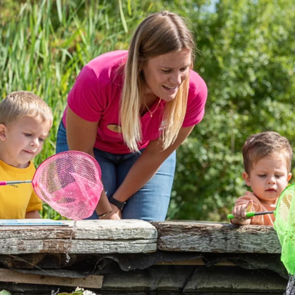 Quiet and Calm Pond Dipping at WWT London Wetland Centre