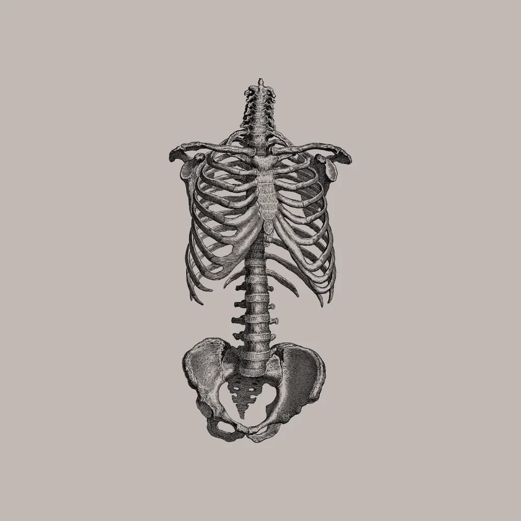Under The Skin