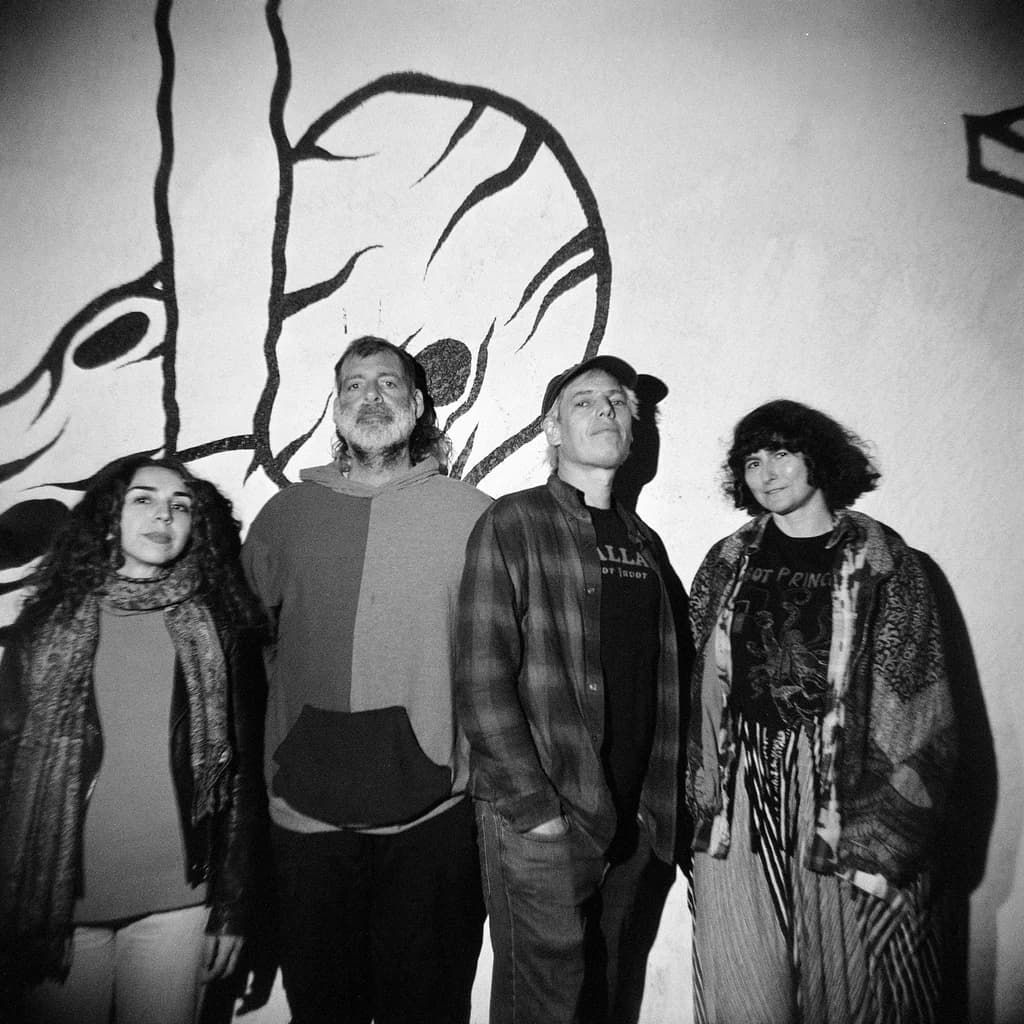 Jeffrey Lewis & the Voltage at The Castle And Falcon
