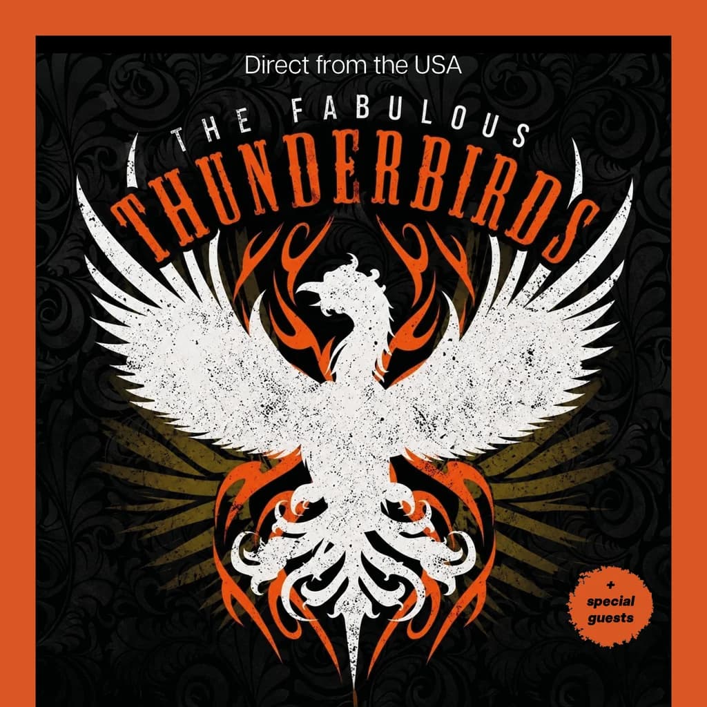 The Fabulous Thunderbirds