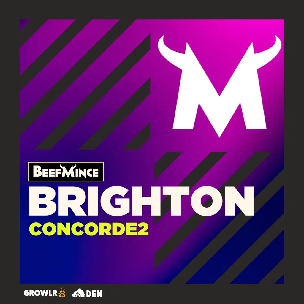 Beefmince at The Concorde 2