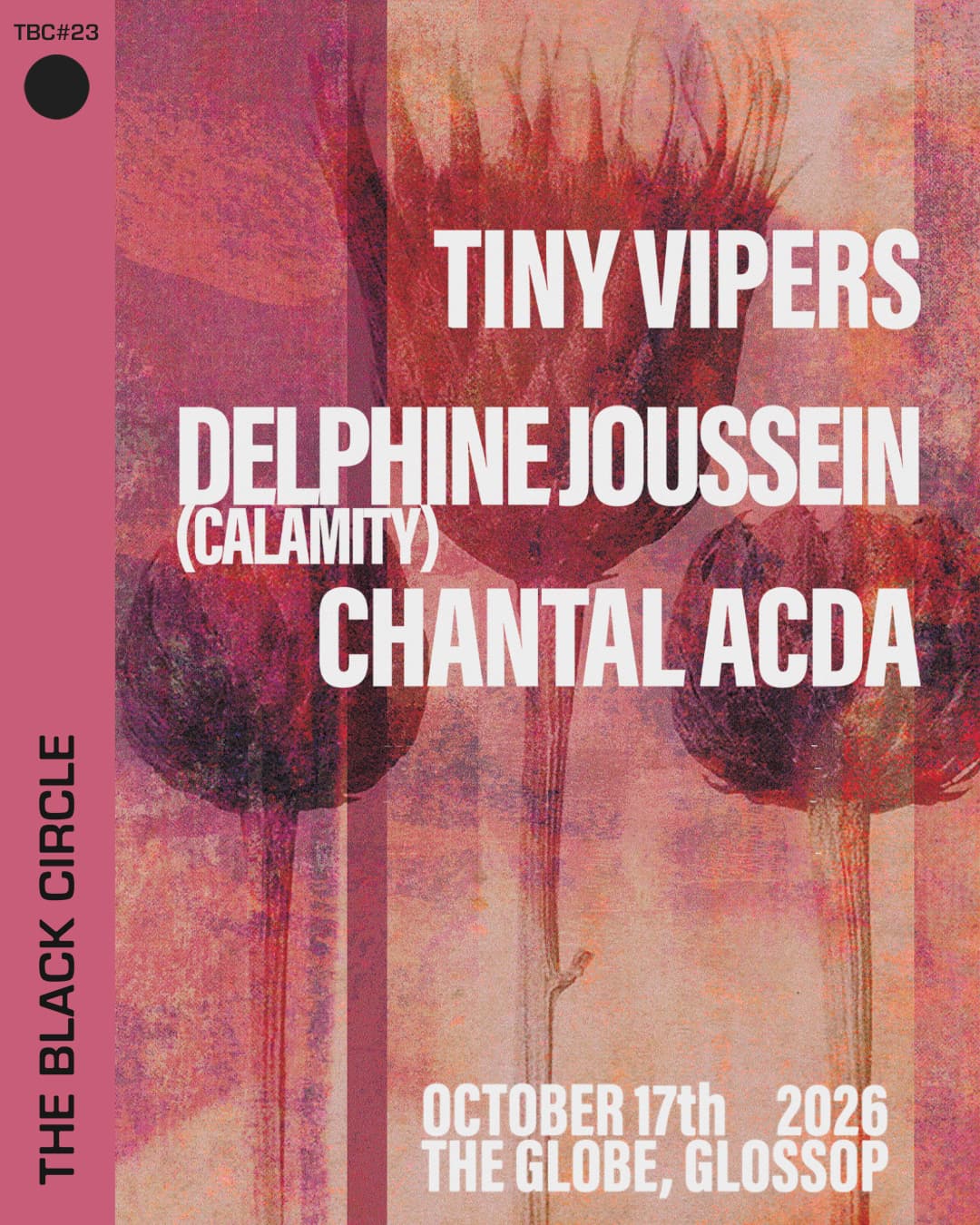 TBC#23: Tiny Vipers + Delphine Joussein + Chantal Acda at The Globe, Glossop