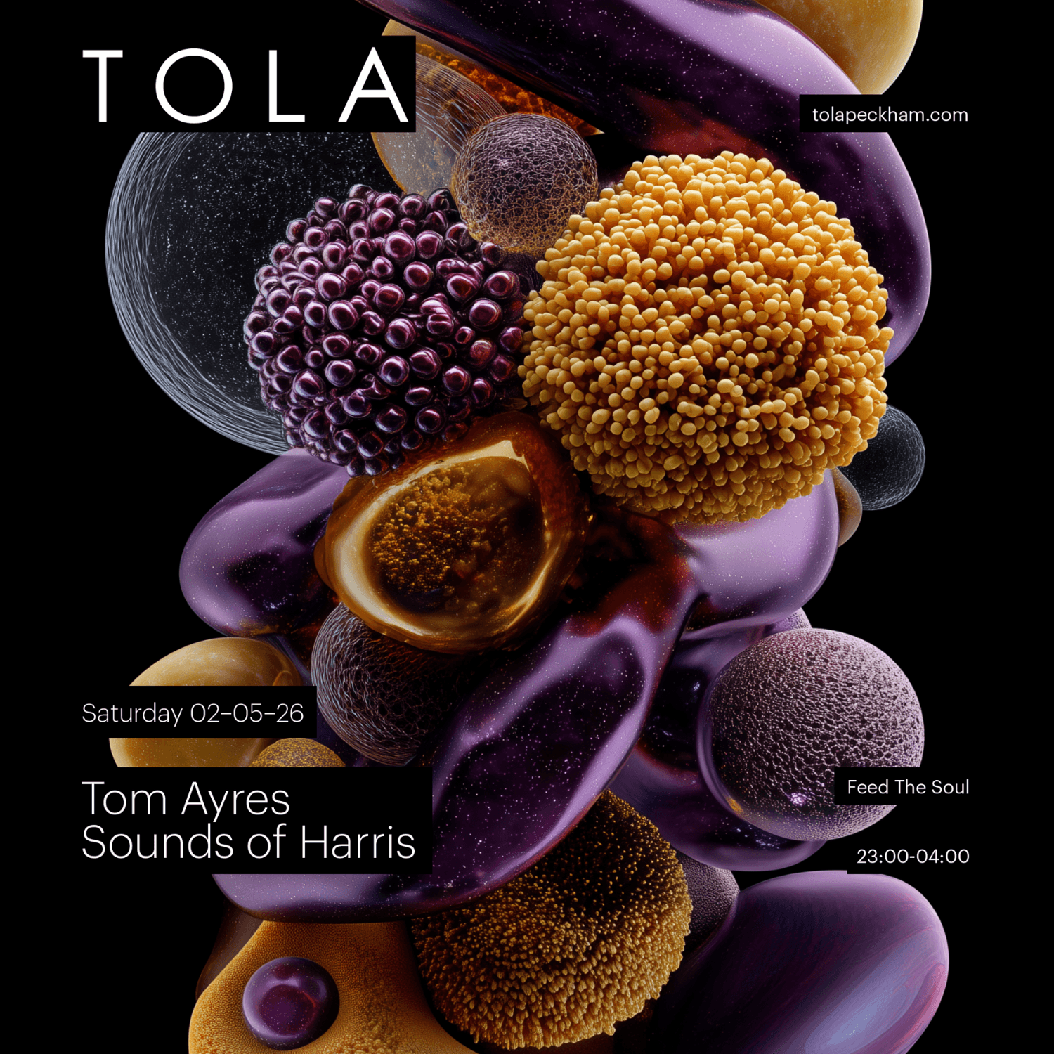 Feed The Soul at Tola