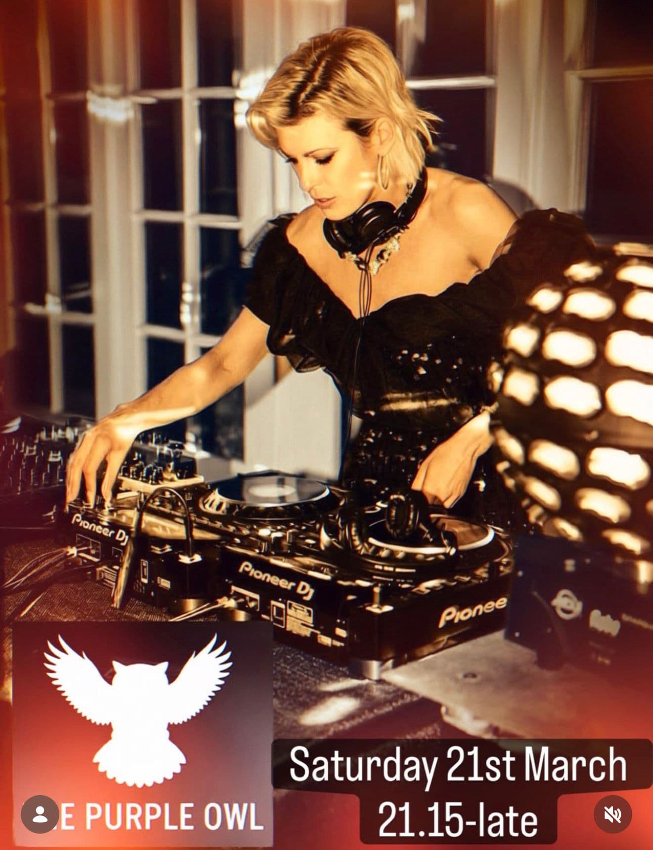 The Purple Owl Live DJ at The Purple Owl