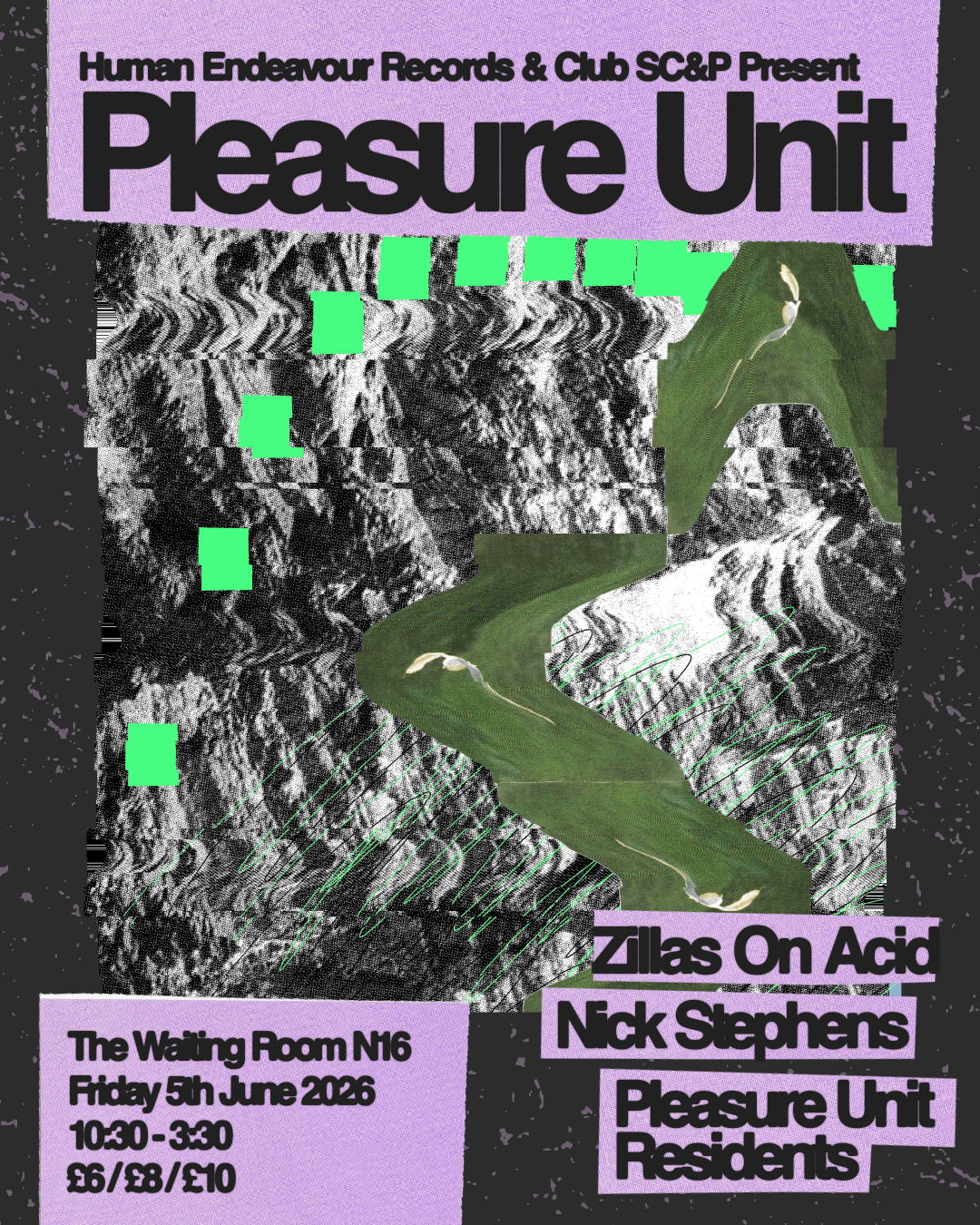Pleasure Unit: Zillas on Acid + Nick Stephens + Residents at The Waiting Room