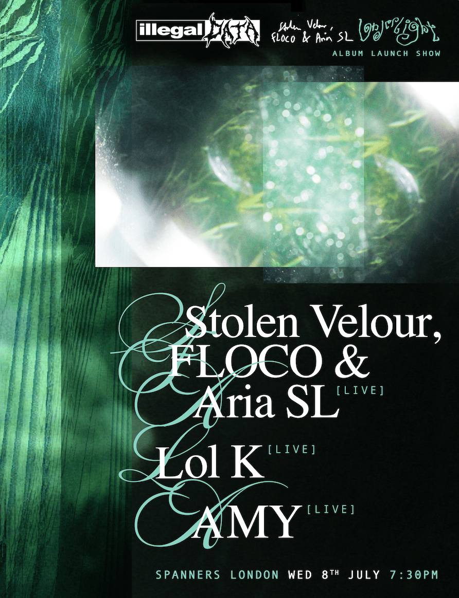 Illegal Data: Stolen Velour, FLOCO & Aria SL [album launch] at Spanners