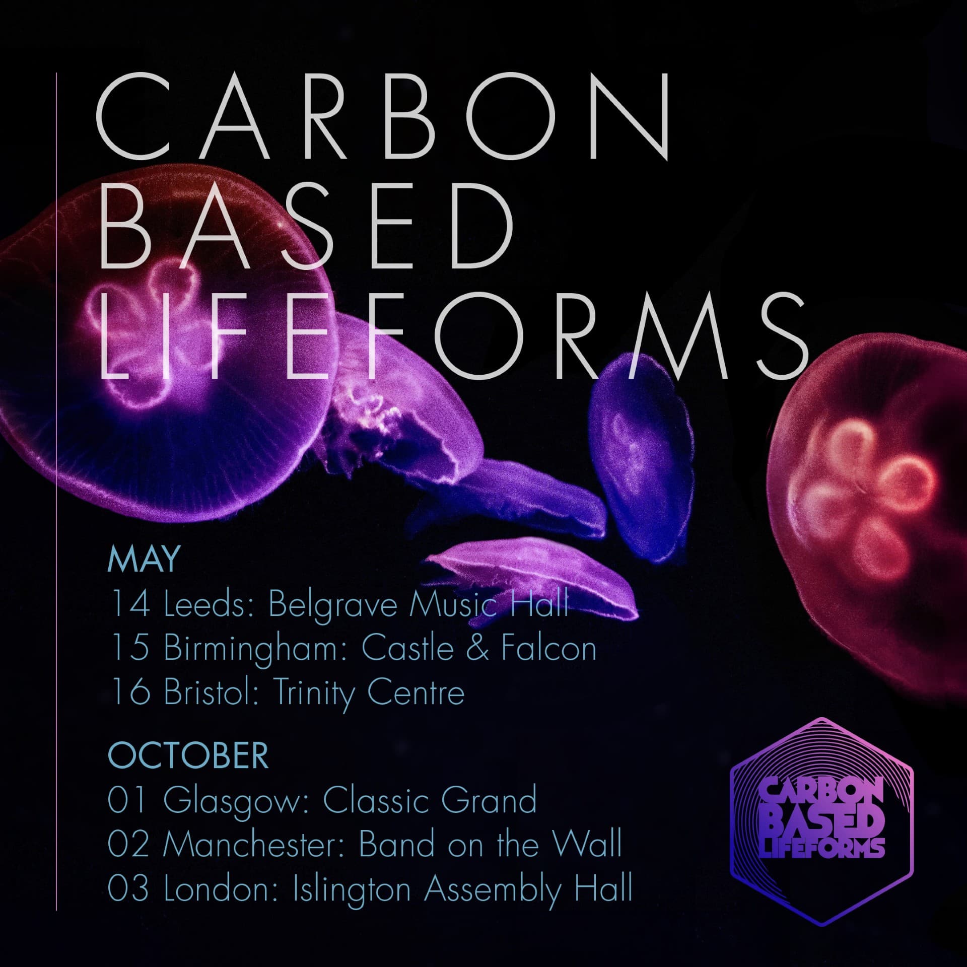 Carbon Based Lifeforms at Band On The Wall