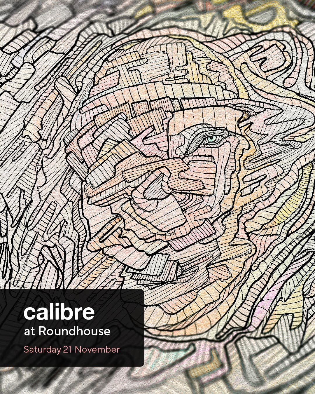 Calibre at The Roundhouse