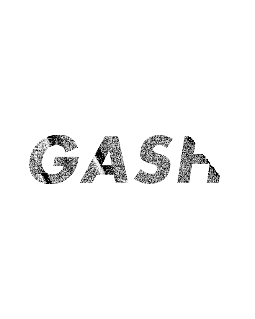 GASH w/「******** ****」