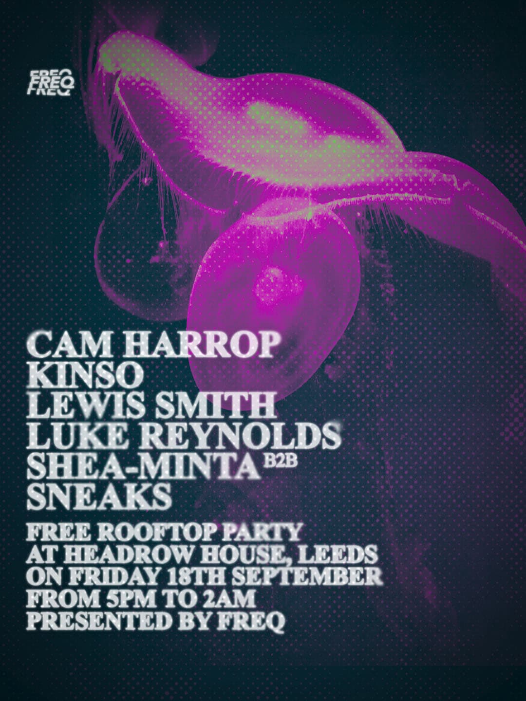 FREQ: Free rooftop party at Headrow House