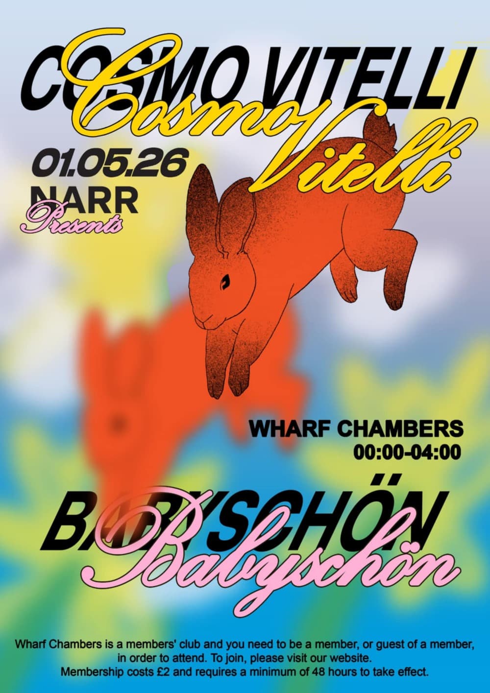 Narr with Cosmo Vitelli & babyschön at Wharf Chambers