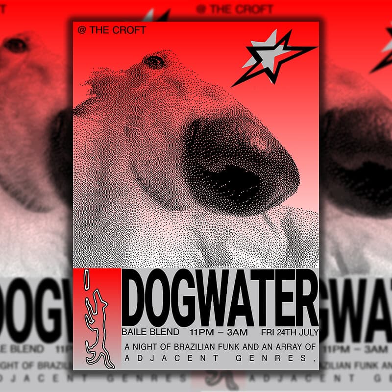 DOGWATER - BAILE BLEND