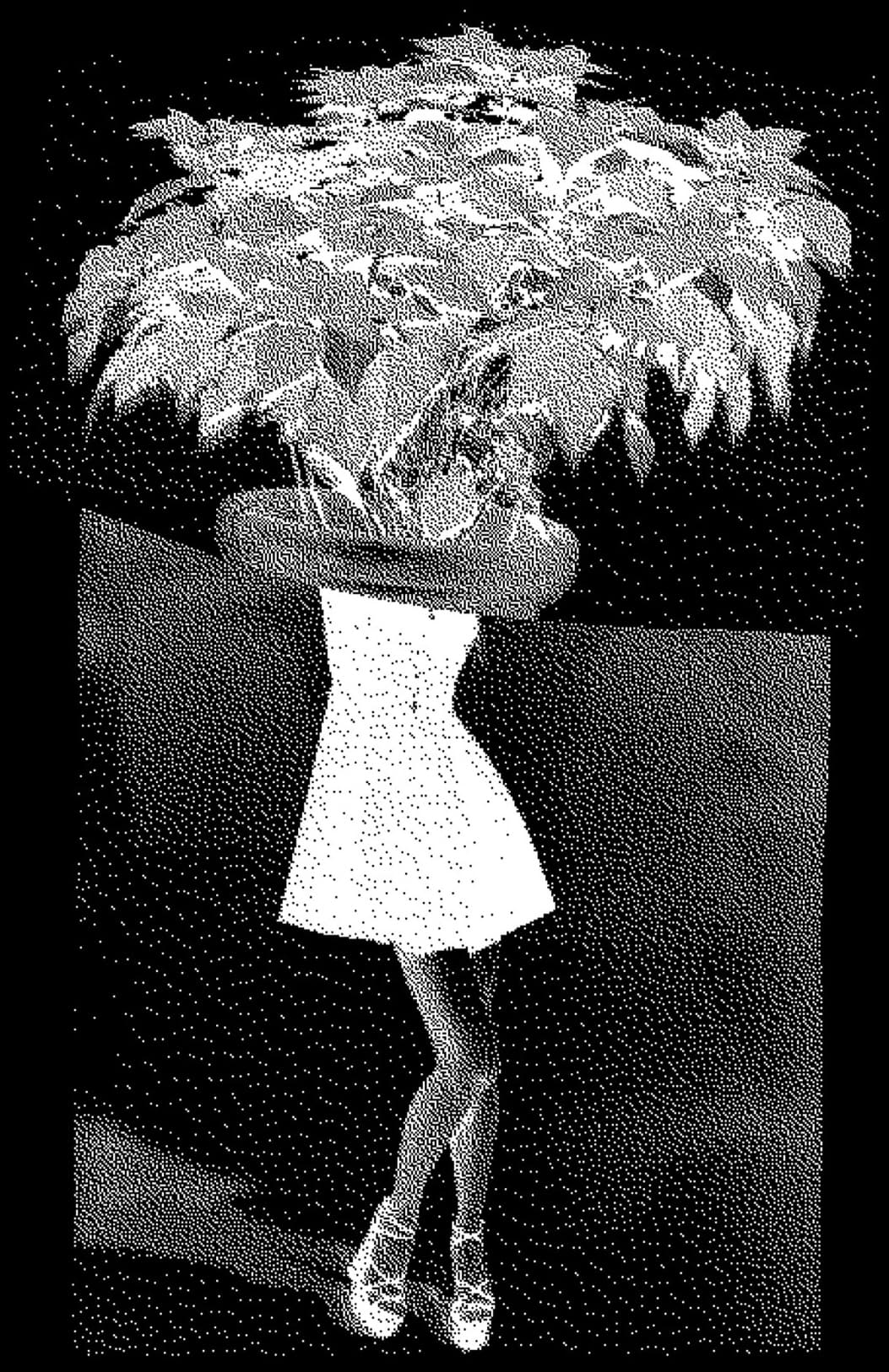 Squares w/ TBA (all-night-long) at Lion And Lamb