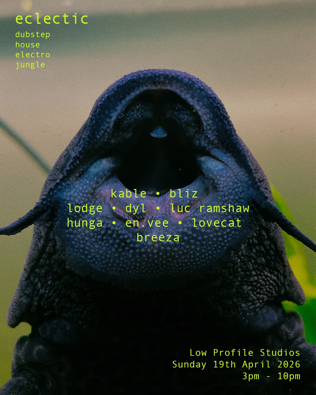 eclectic at Low Profile Studios