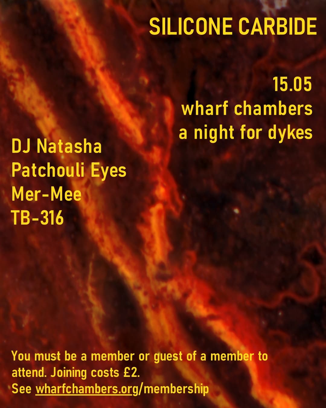 Silicone Carbide: DJ Natasha, Patchouli Eyes, Mer-Mee at Wharf Chambers