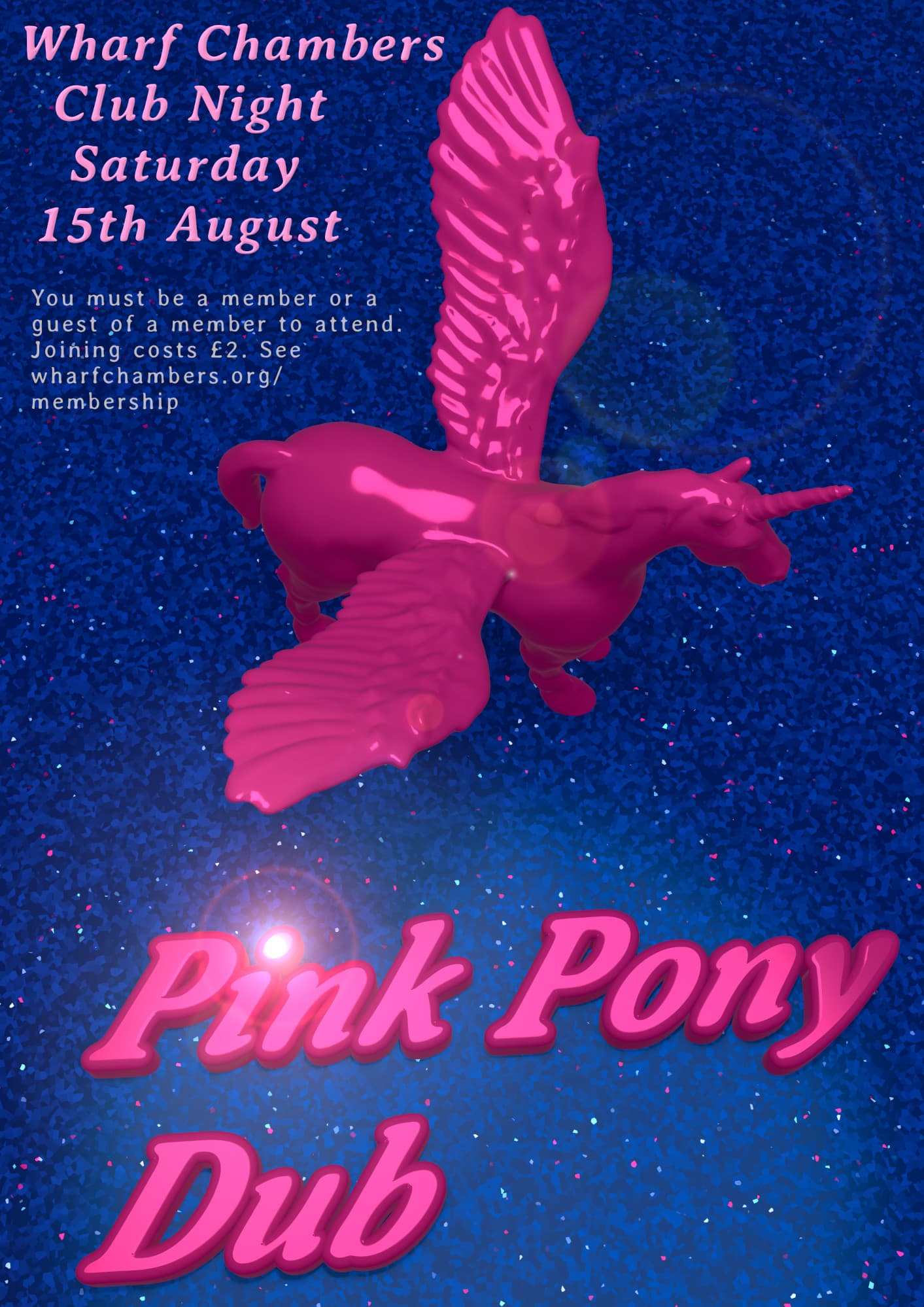 Pink Pony Dub at Wharf Chambers