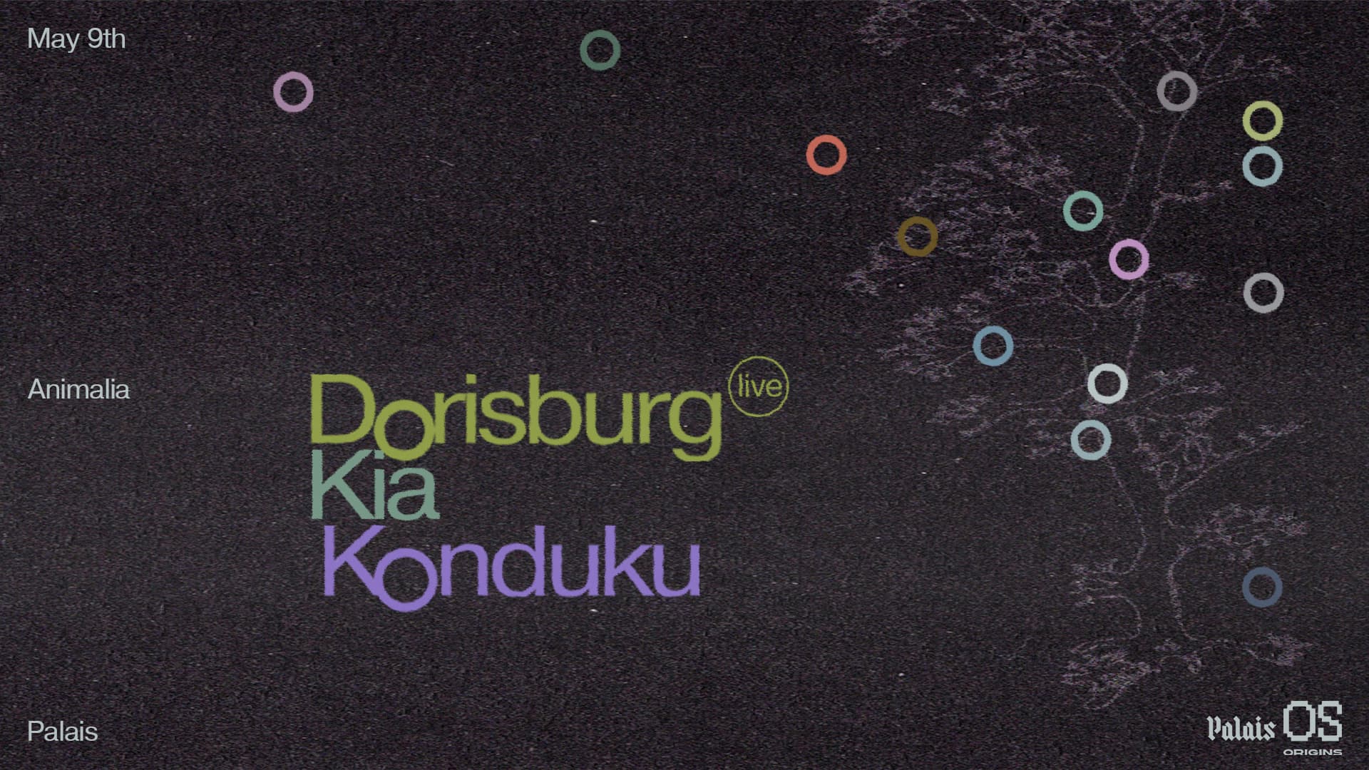 Origins x Animalia: Kia, Konduku & Dorisburg (Live) at Palais
