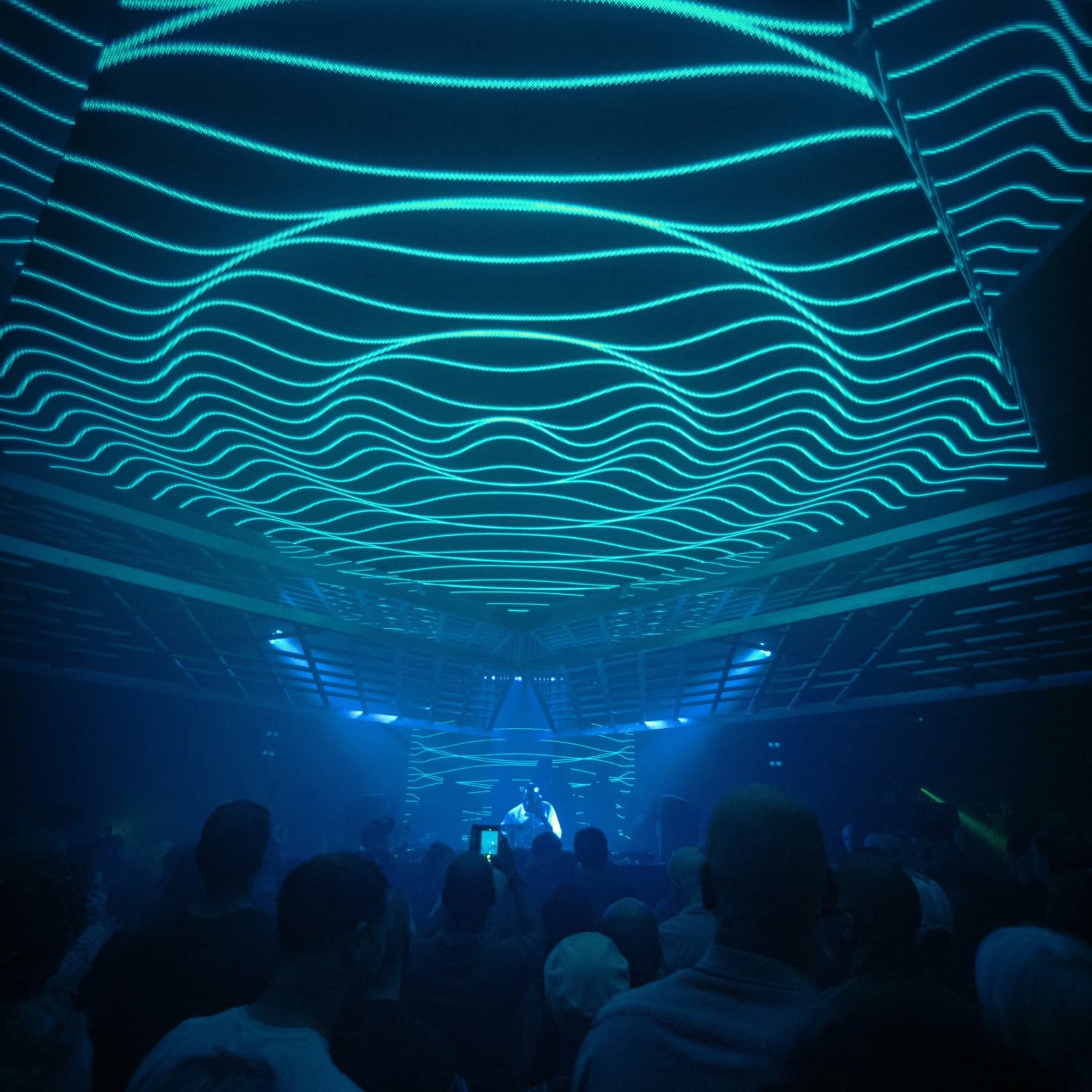 BLINK: ZERB, ROLIPSO, MIDDLTN, Opus