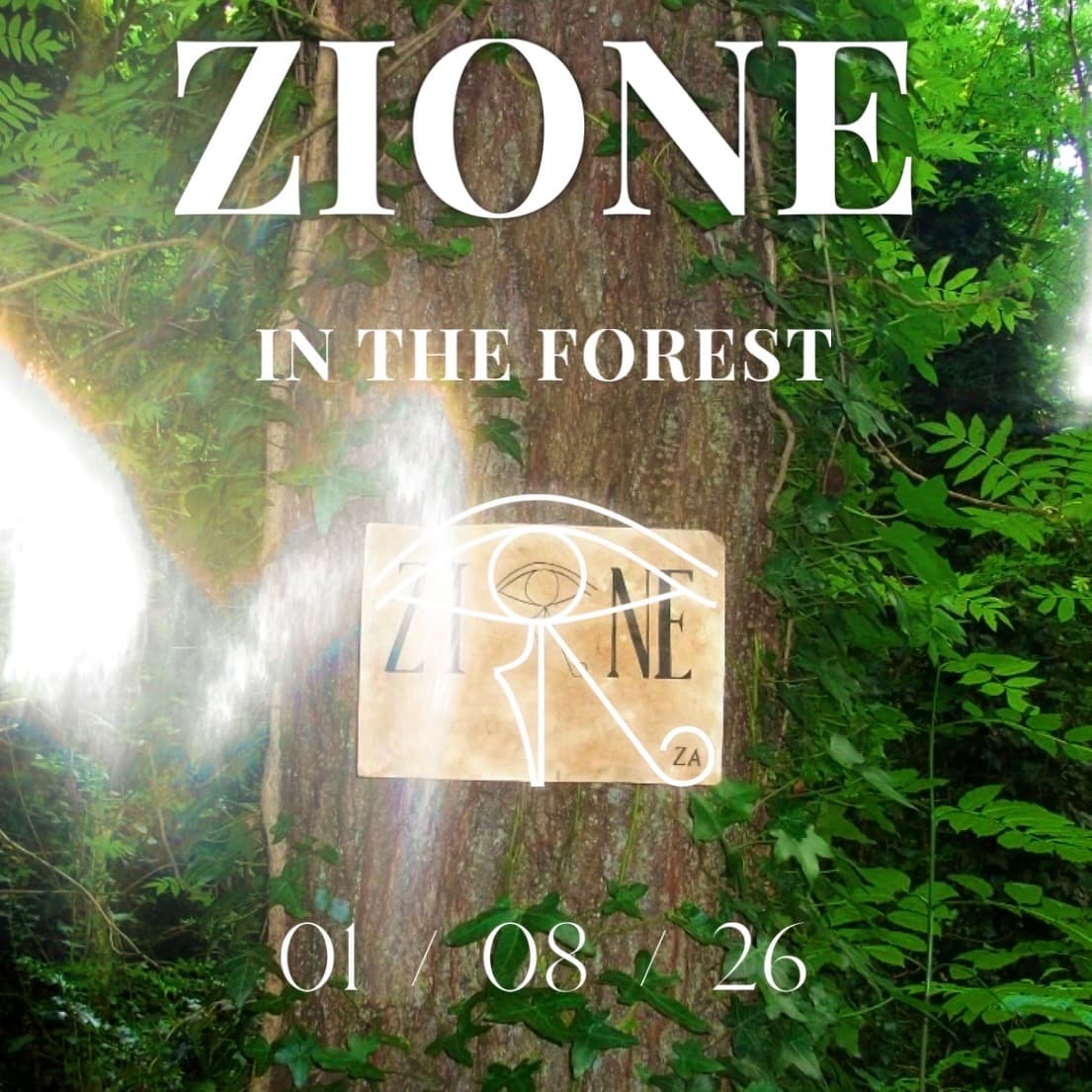 Zione FOREST PARTY