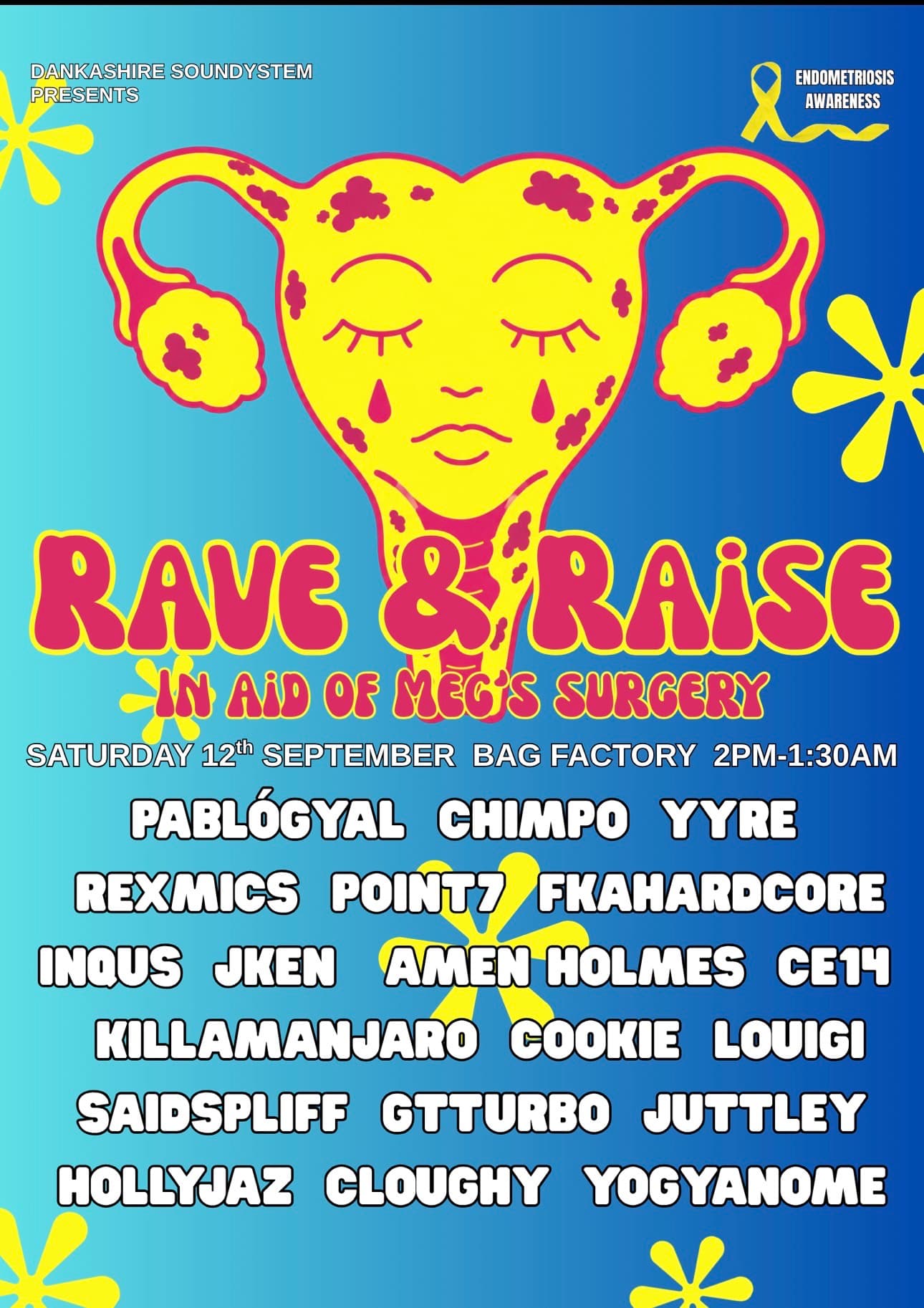 Dankashire Soundsystem / RAVE & RAISE