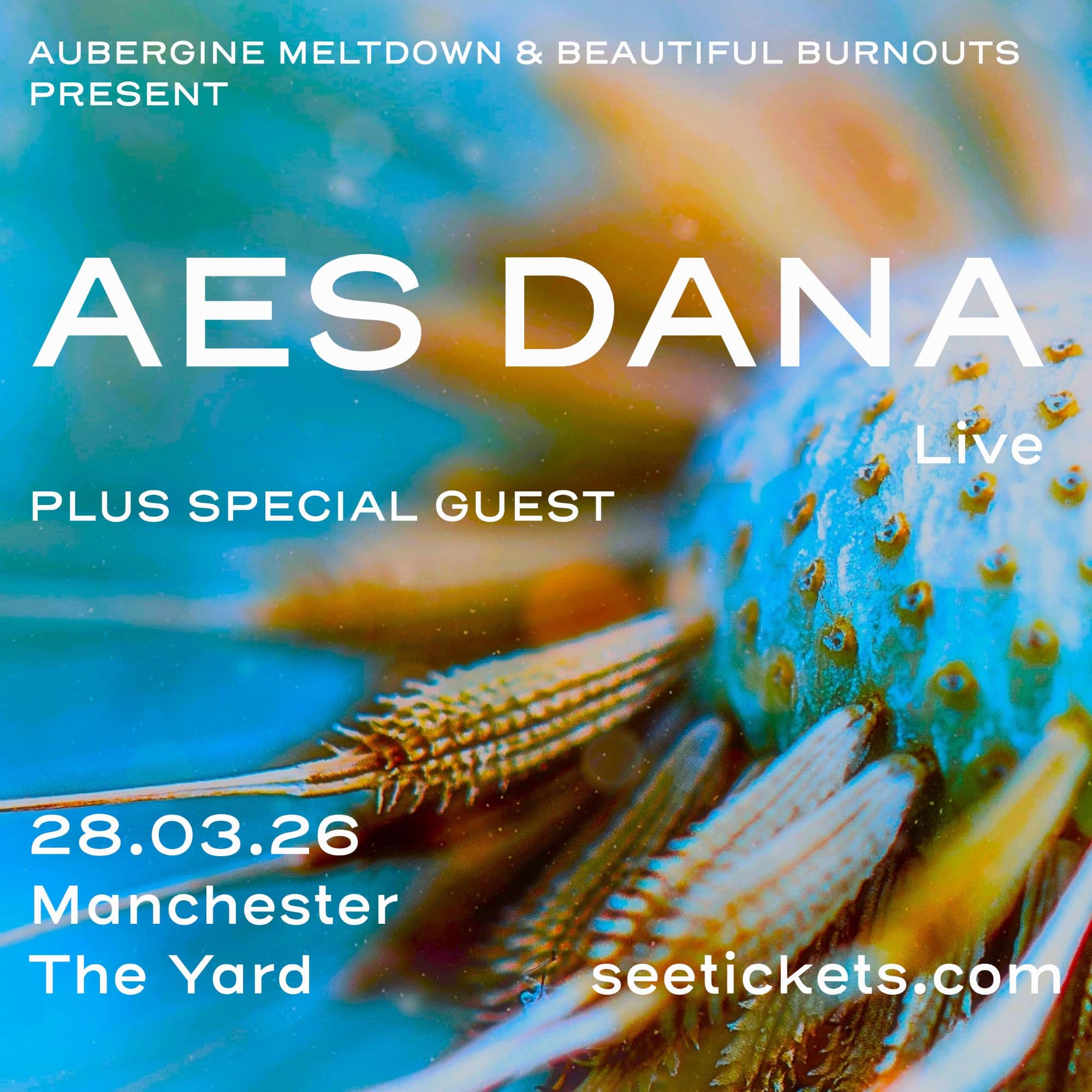 [CANCELLED] Aes Dana (Live) at The Yard Manchester