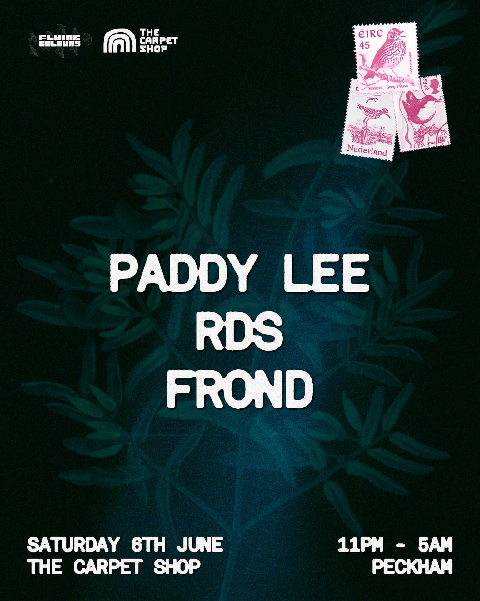 Flying Colours w/ Paddy Lee, RDS & FROND at The Carpet Shop