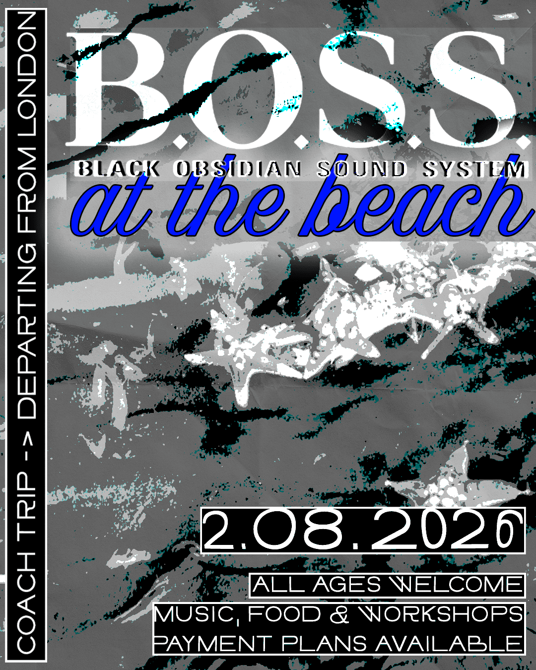 B.O.S.S. at the beach