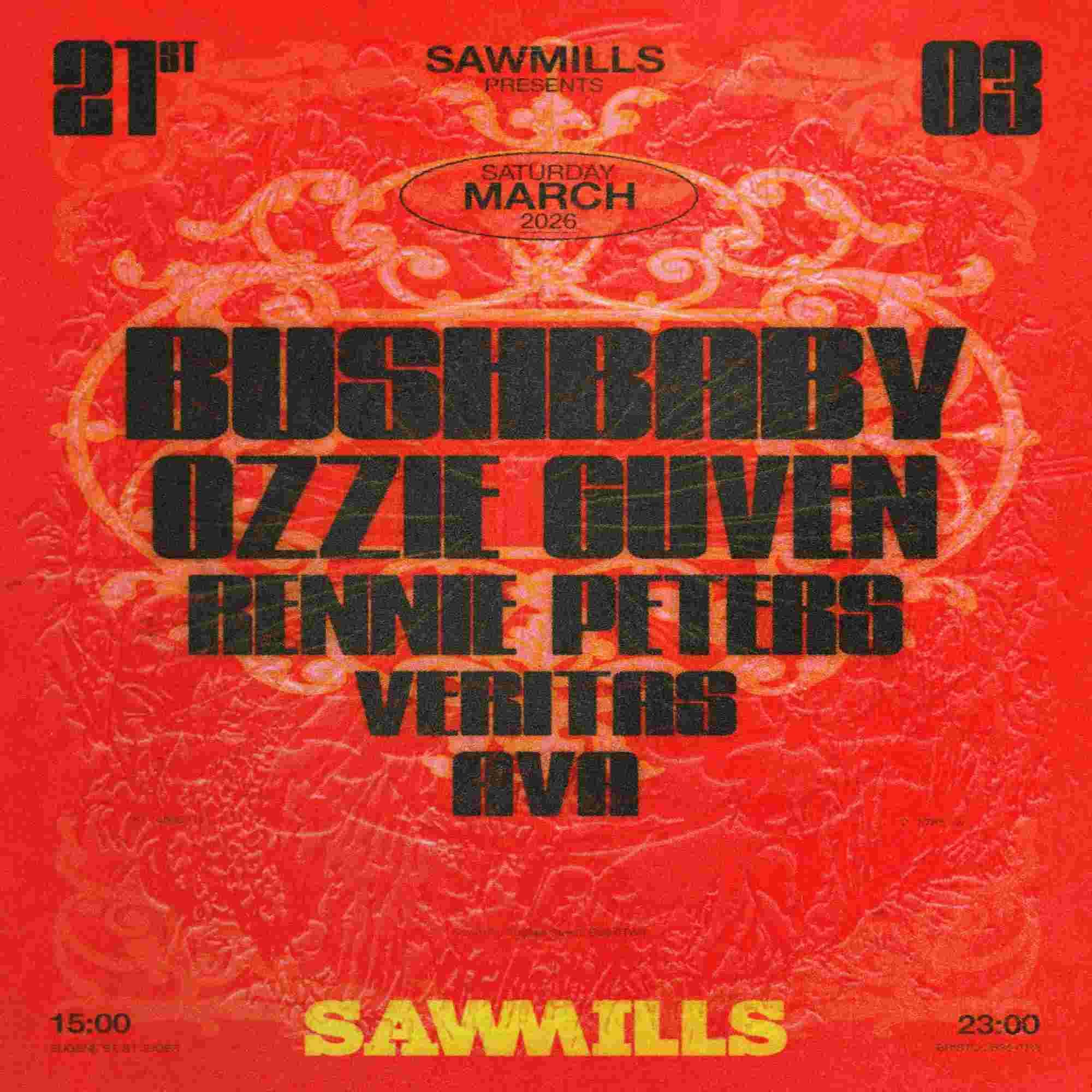 Bushbaby at Sawmills at Sawmills