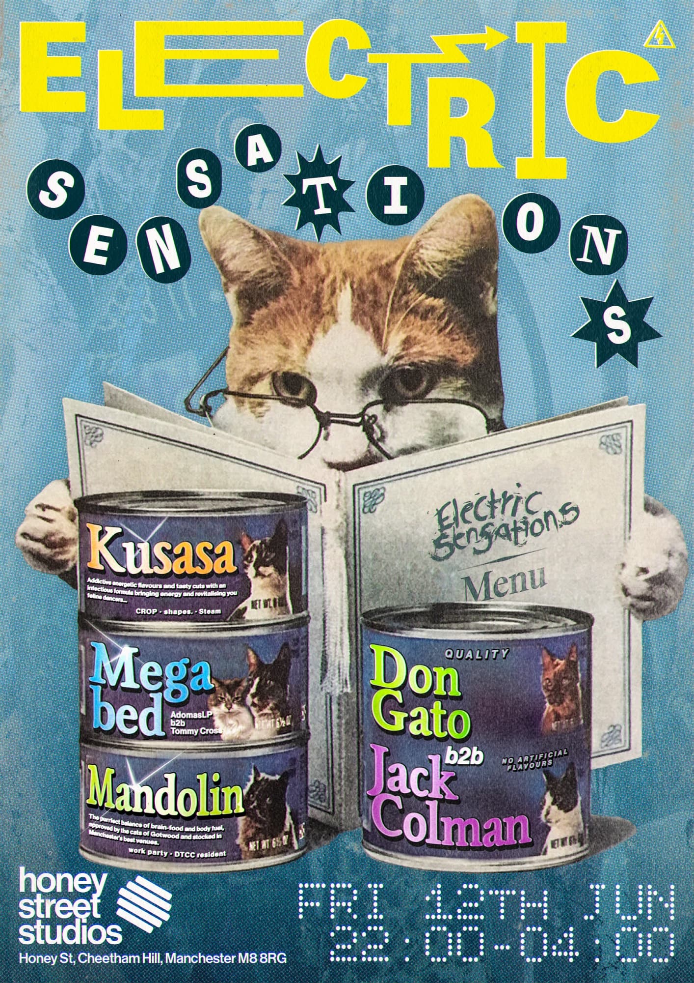 Electric Sensations: The Feline Funk-tion at Honey Street Studio