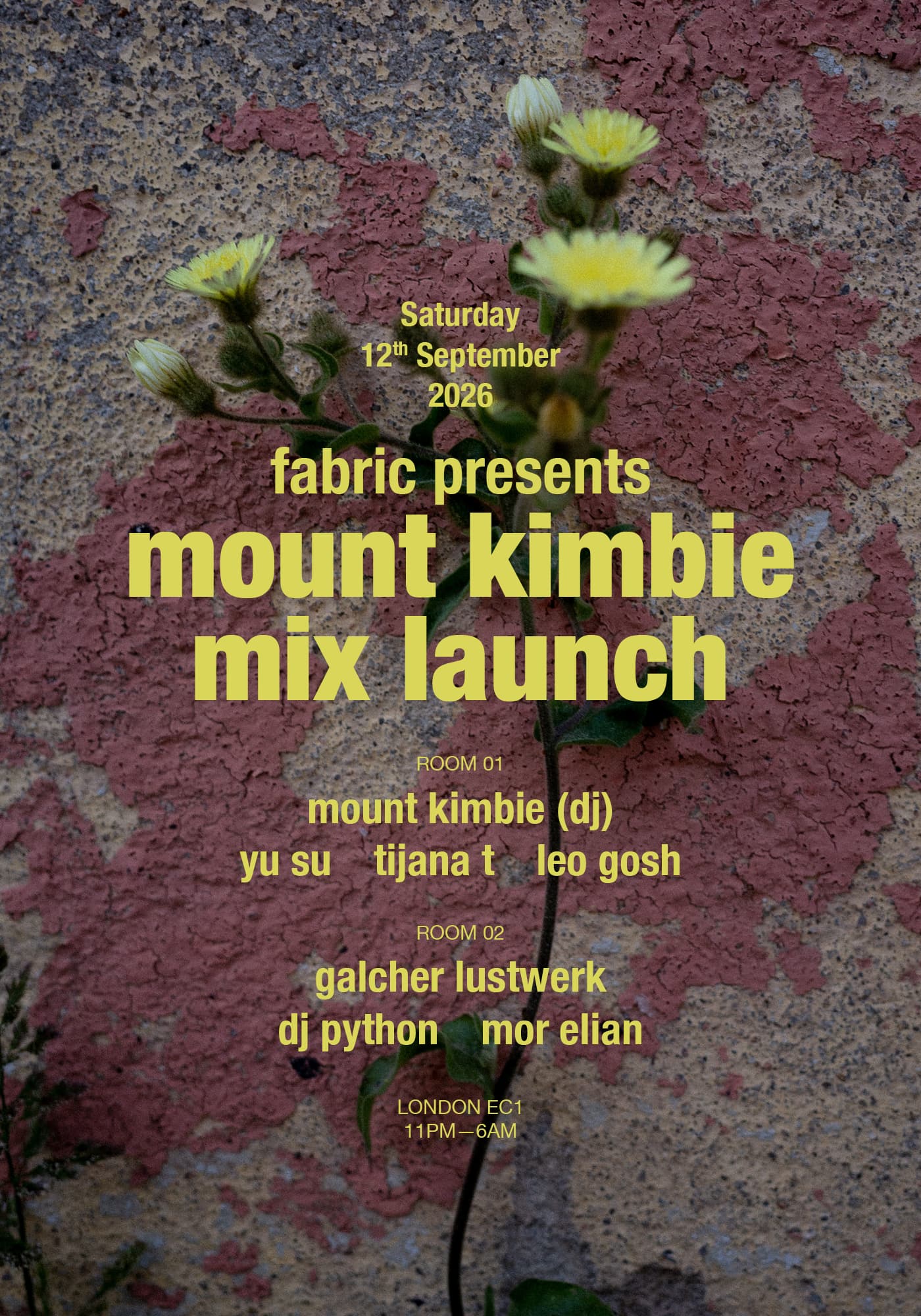 fabric presents Mount Kimbie mix launch: Yu Su, Tijana T, Leo Gosh, DJ Python, Galcher Lustwerk at FabricXX