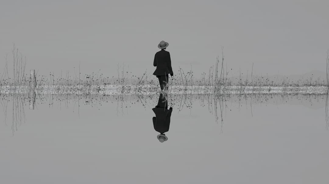 The Veils