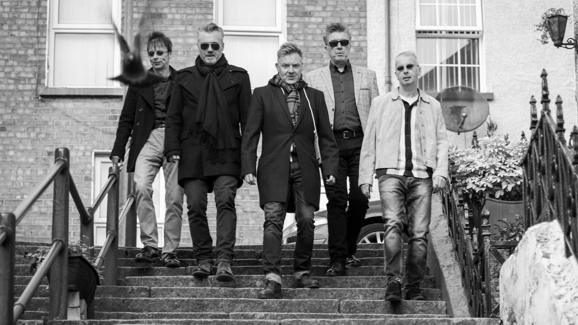 The Undertones - 50th Anniversary Show at O2 Academy