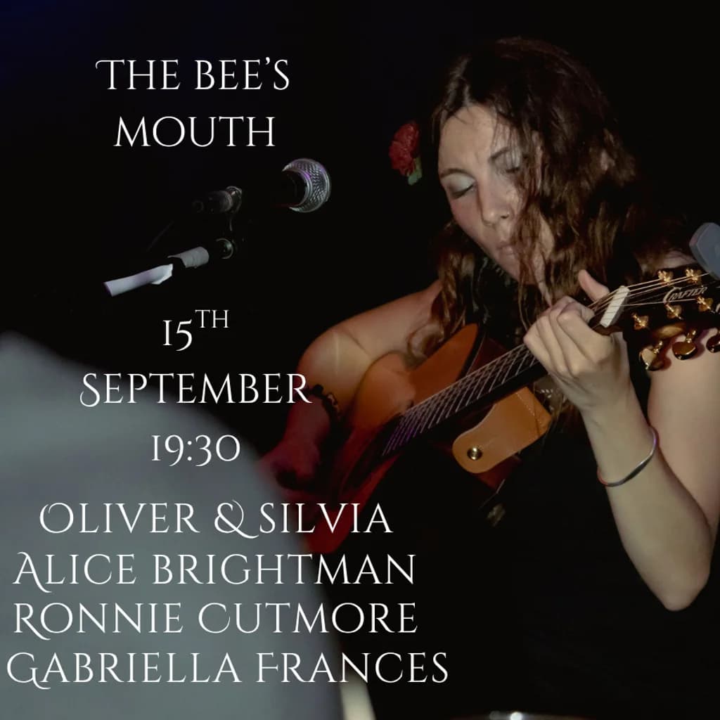 The Acoustic Night | an evening of intimate music at The Bee's Mouth