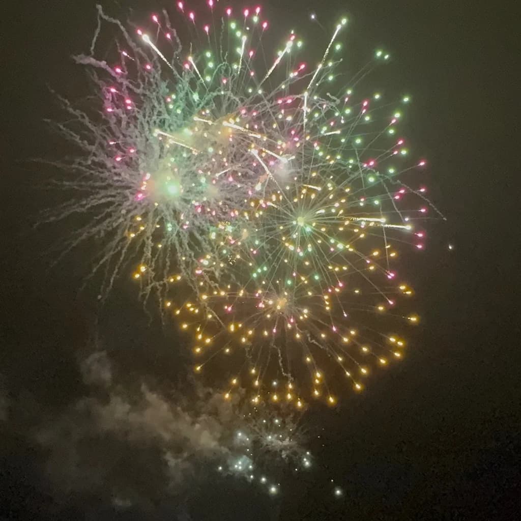 Fire & Magic: A Tribute to Disney Fireworks