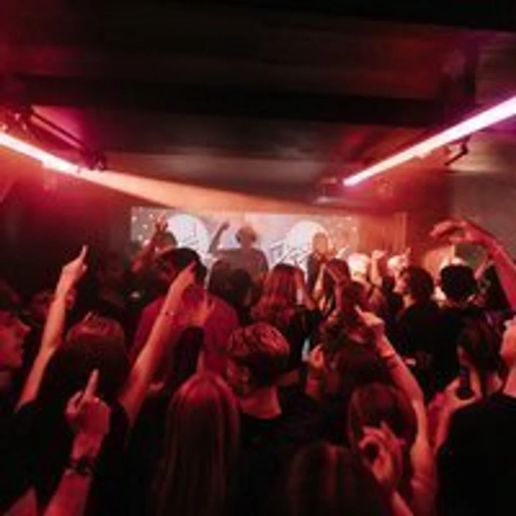 Dazed Disco Of The Dead