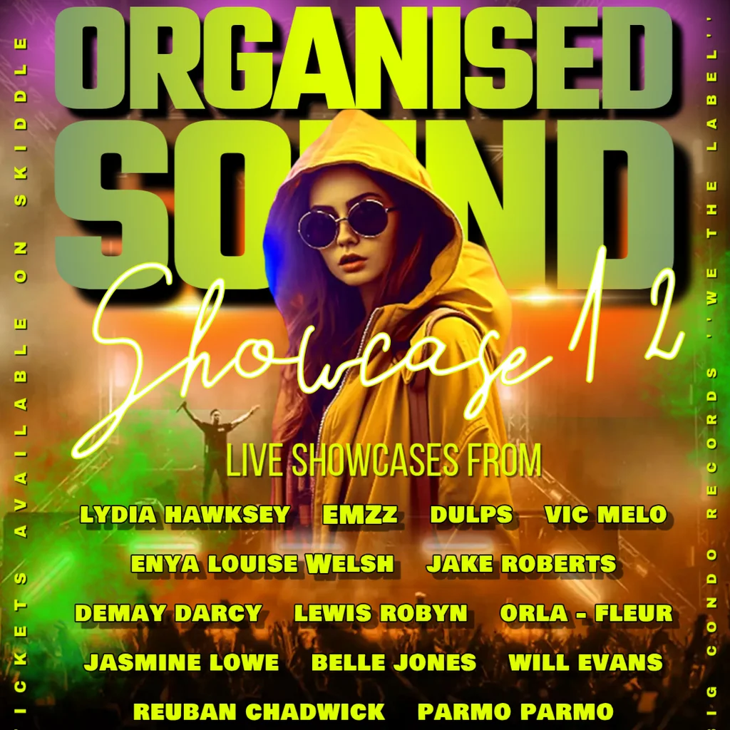 Big Condo Records Presents Organised sound 12