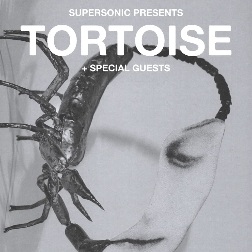 Tortoise at The Crossing, Birmingham