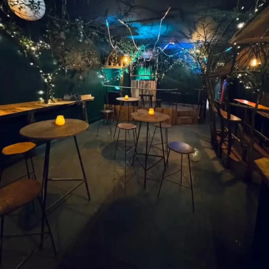 Steppas Presents: Go Local Collectives 2! at Kazimier Garden