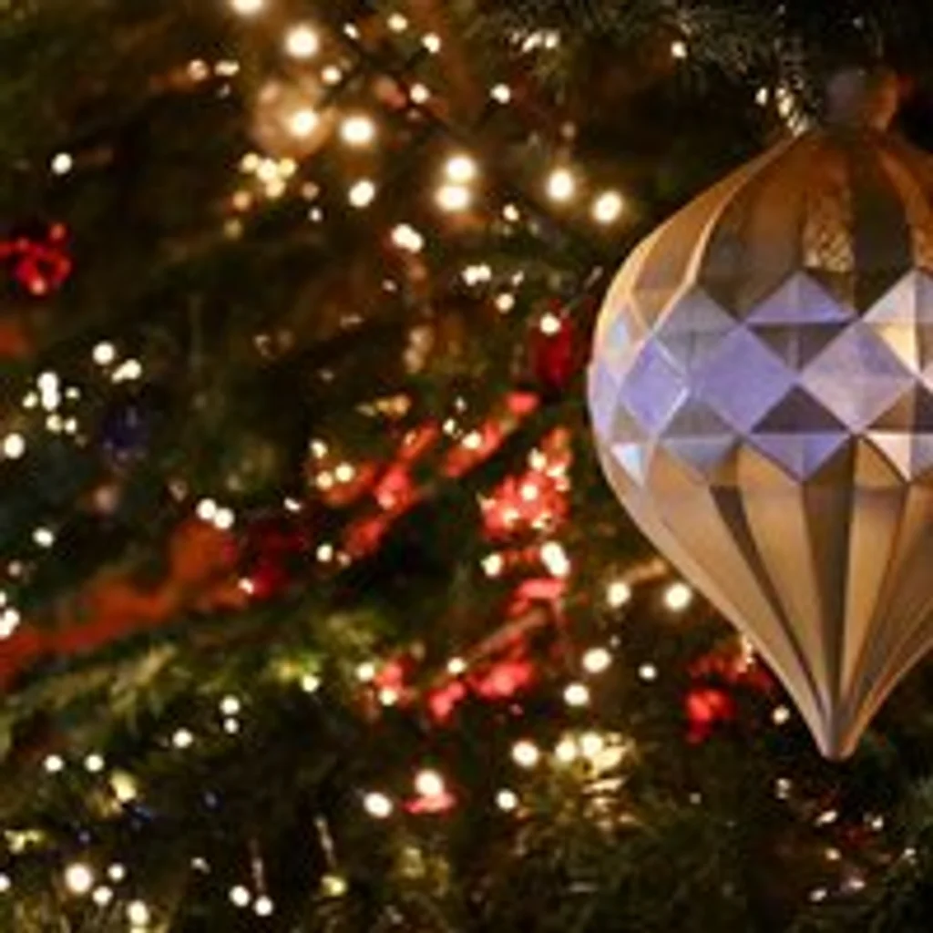 Santa Brunch Wednesday 23rd December 12:30pm-2:30pm.