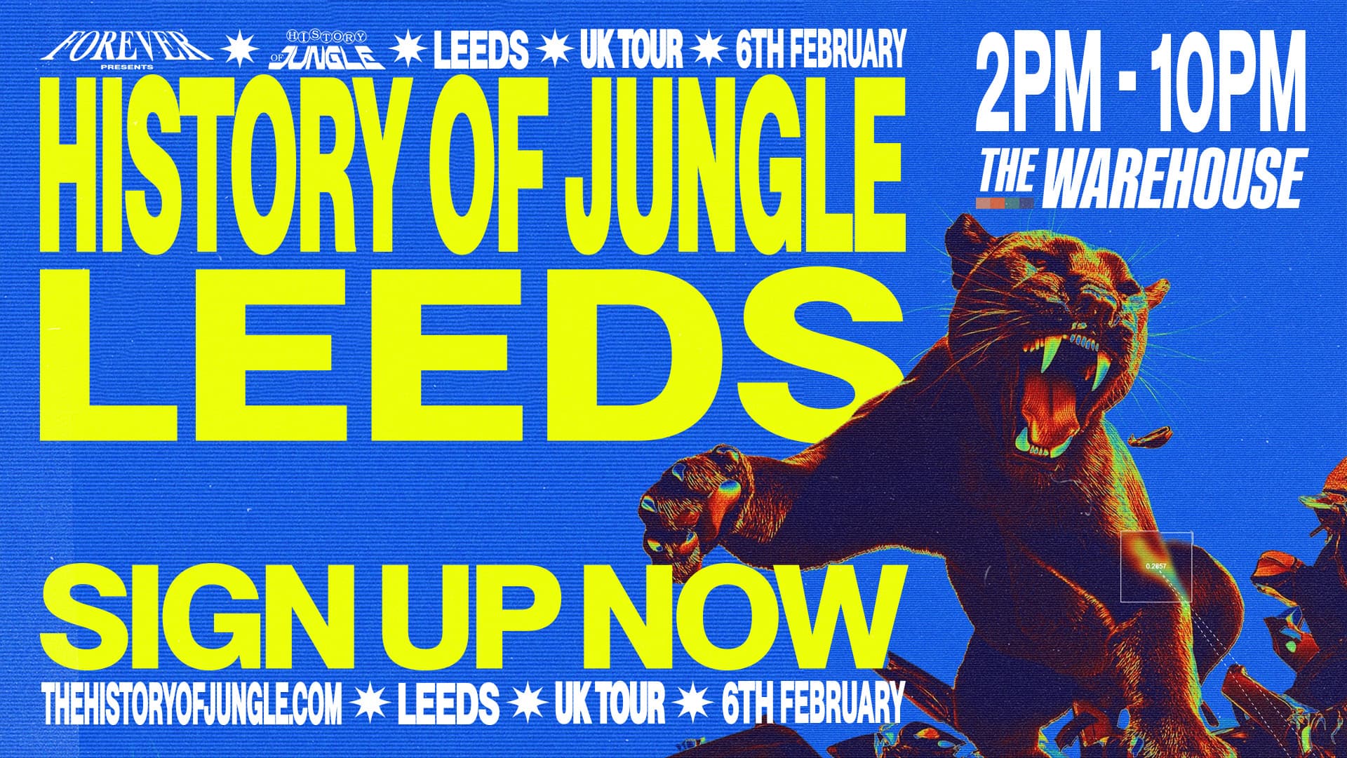 The History of Jungle: Leeds
