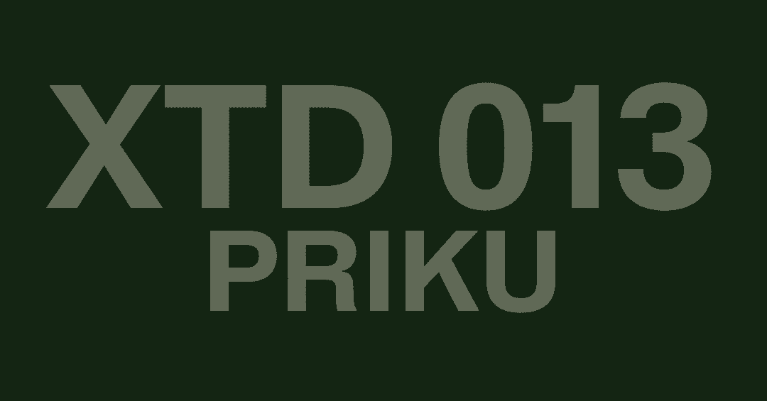 XTD - 013 - Priku