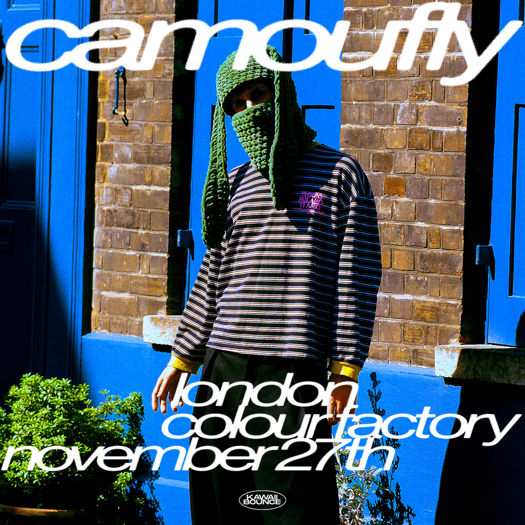 Labyrinth presents: camoufly Extended Set
