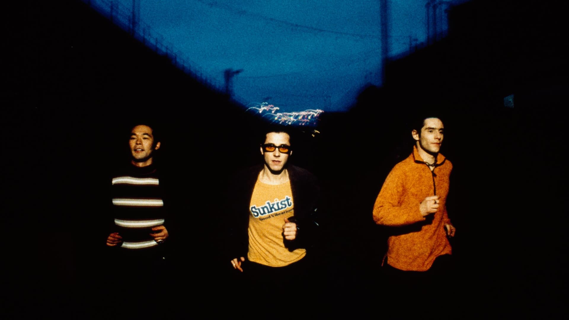 Feeder - Polythene Live